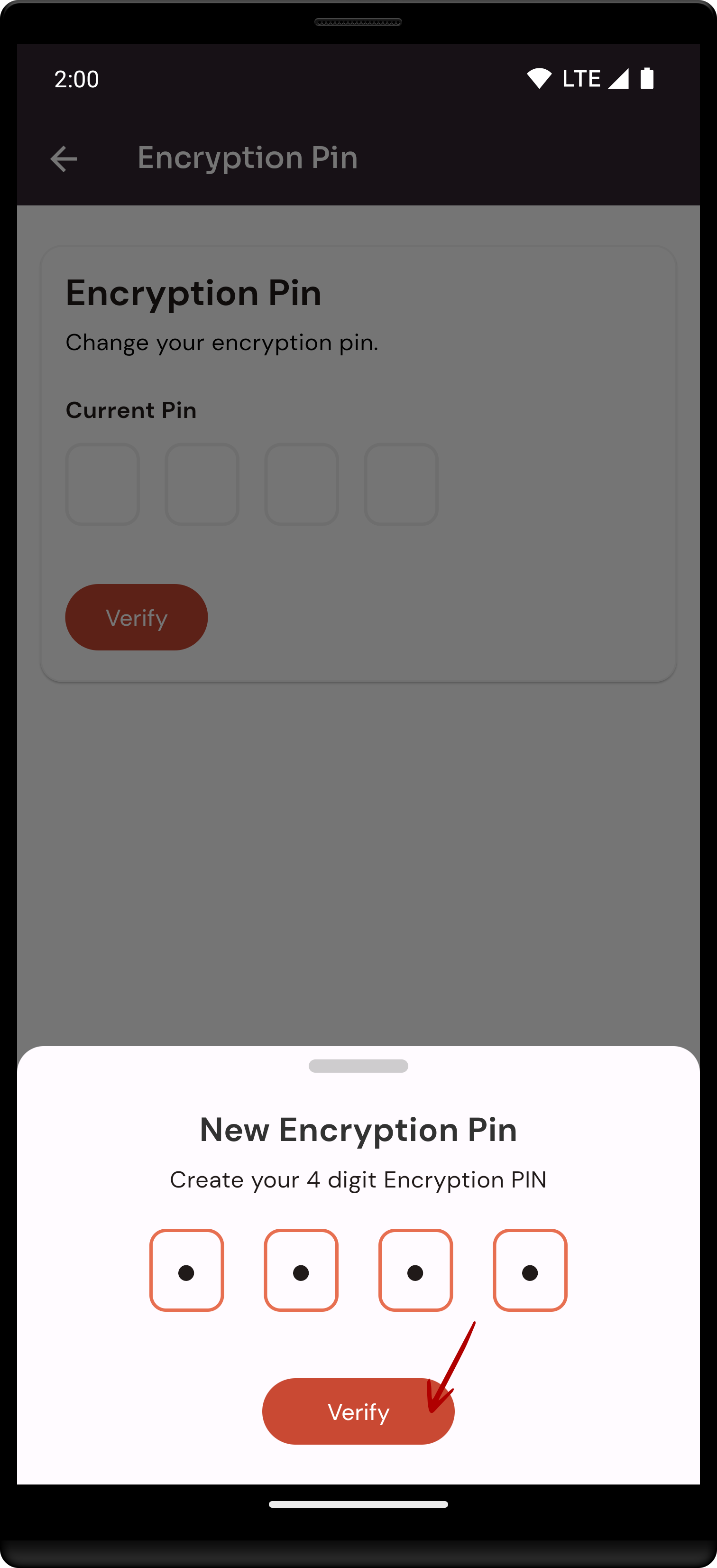 encryption_pin3.png